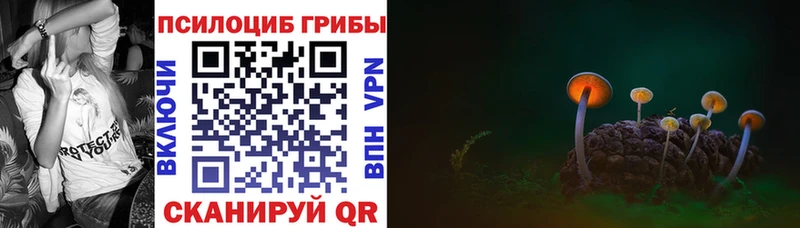 закладки  Каменка  Псилоцибиновые грибы MAGIC MUSHROOMS 