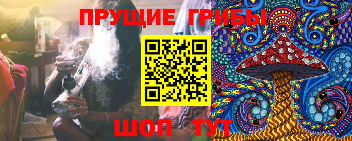 Галлюциногенные грибы Cubensis Каменка