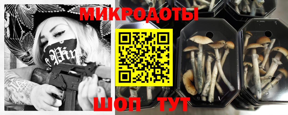 Меф Каменка