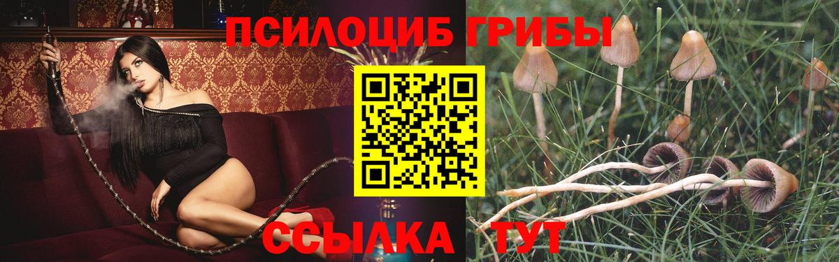 КОКАИН  Марихуана  Как найти закладки?  Вход с VPN  ГАШИШ  Экстази  МЕФ   Каменка  A-PVP СОЛЬ  